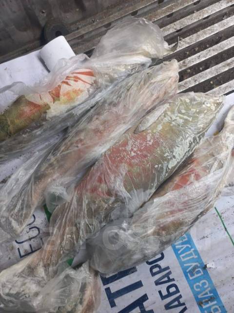Рыба кета мороженая, в наличии. Цена: 110? в Хабаровске