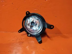���� ��������������� NLC8098, ������ NLC8098 ����