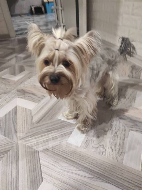 Передержка в Уссурийске