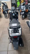 Honda Dunk. 49����. ��., ��������, ��� ������� ����