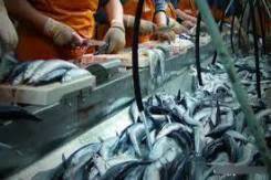 ������-��������������. ��� "�� �-�". ����-���������,��.�������� 110 � ����