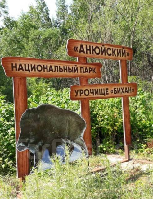 Анюйский национальный парк животные и растения примеры