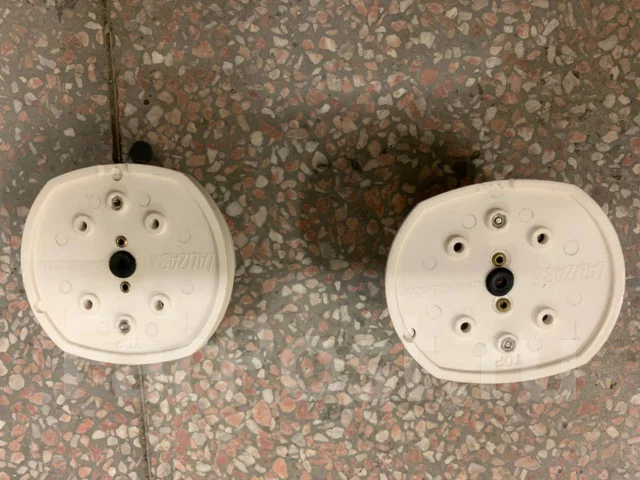���� �������. ����