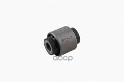 ����������� ������� ������ Iberis ���. IB116073 IB116073 ����