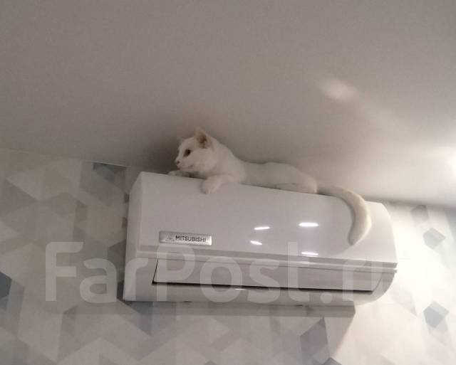 Установка кондиционеров 10000 быстро качественно недорого во Владивостоке