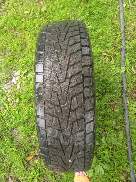 Bridgestone Winter Dueler DM-Z2. ������, ��� �����, 2016 ���, �/�, ����� 50 % ����