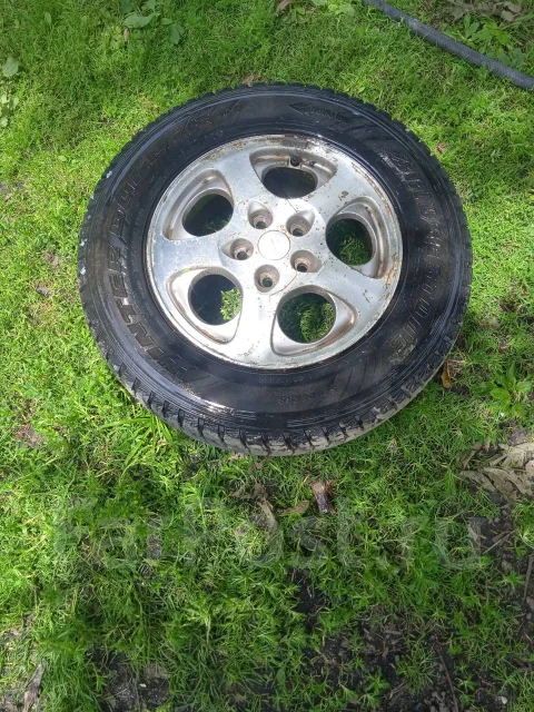 Bridgestone Winter Dueler DM-Z2. ������, ��� �����, 2016 ���, �/�, ����� 50 % ����