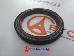  () Victor Reinz 813441300 813441300 