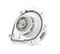 ������� ����� (�����) BSG AUTO Parts BSG65500002 BSG65500002 ����