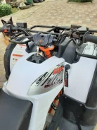 Kayo Bull 150. ��������, ��� ���\���, �� ����