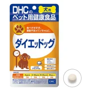 ��������. ����