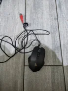 ���� �������. ����