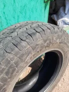 Continental Conti.eContact. �����������, 2019 ���, �/�, ����� 20 % ����