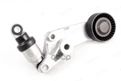 ���������� ����� Iberis ���. IB5166 IB5166 ����
