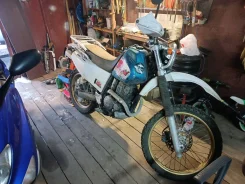 Yamaha TT-R 250 Raid. 249����. ��., ��������, ���������, ������ �� �� ����