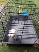 �����. ����