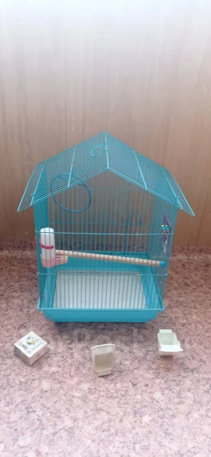 ������. ����