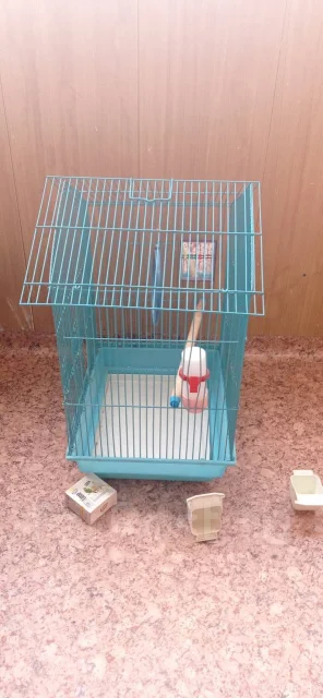 ������. ����