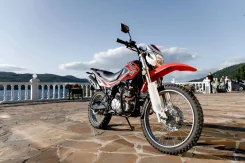 Regulmoto SK 250GY-5. 250����. ��., ��������, ���������, ������ �� �� ����