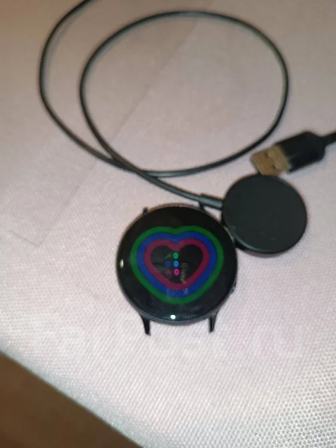 Samsung Galaxy Watch Active2. GPS ����
