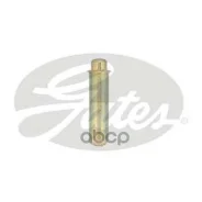 ���������� ������� ��� �������������� Gates ���. t43187 T43187 ����