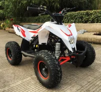 Motax Gekkon 90. ��������, ��� ���\���, ��� ������� ����
