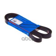   Avantech Avantech . 6PK1700 6PK1700 6PK1700 