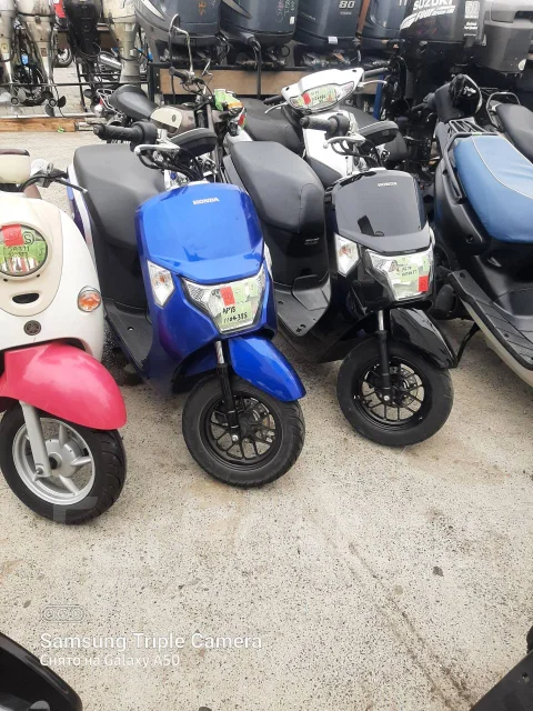 Honda Dunk AF74. 49����. ��., ��������, ��� ���, ��� ������� ����