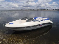 BRP Sea-Doo Challenger. 2009 ���, ����� 5,5��., ��������� ������������, 240��.�., ������ ����