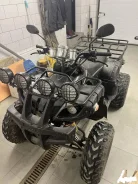 Tiger Sport. ��������, ��� ���\���, �� ����
