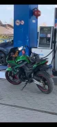 Falcon Terrail 250. 250����. ��., ��������, ���������, ������ �� �� ����