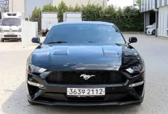 Ford Mustang. �������, ������, 2.2, ������, 36 000����. ��, �/�. ��� ����� �� ������������ ����