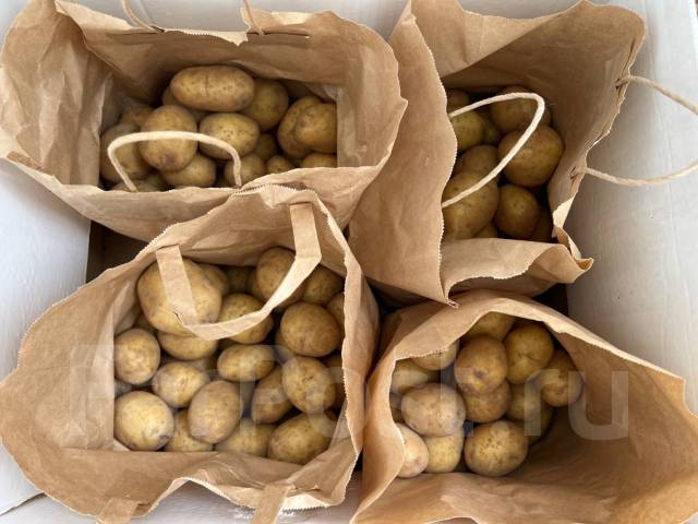 Домашний молодой картофель с дачи, в наличии. Цена: 100₽ во Владивостоке