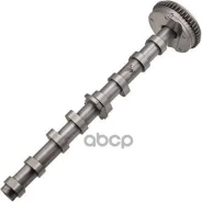 ���������� ���������� VAG 2.0 FSI 16V (CAEA, CAEB, CAED, CAWB, CBFA, CCZA, CCTA, CCZC, CDNB, CDNC, CESA, CETA, Zikmar ���. Z18071R Z18071R ����