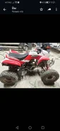 Irbis ATV250S. ��������, ��, �� ����
