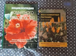 3 ����� � ��������� ��������� ����