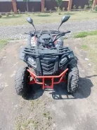 Wels 200. ����������, ��� ���\���, �� ����