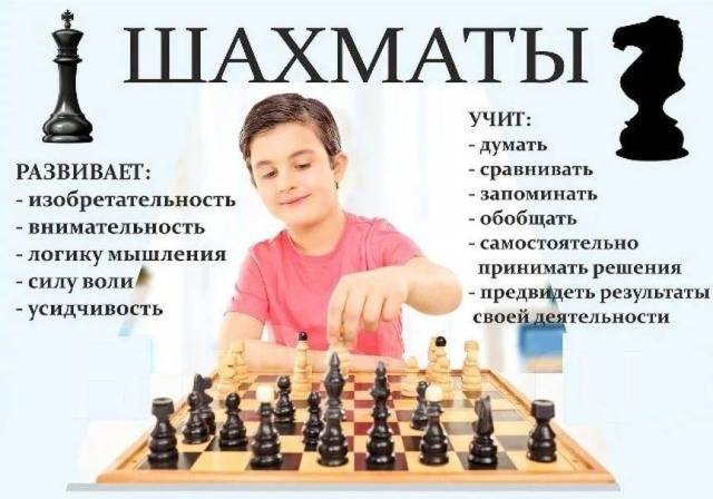 Тренер по шахматам во Владивостоке