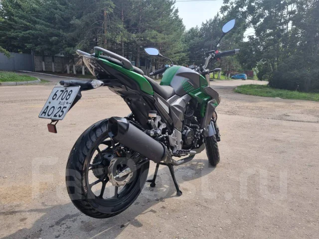 Regulmoto T-Leopard 300. 300����. ��., ��������, ���������, ������ �� �� ����