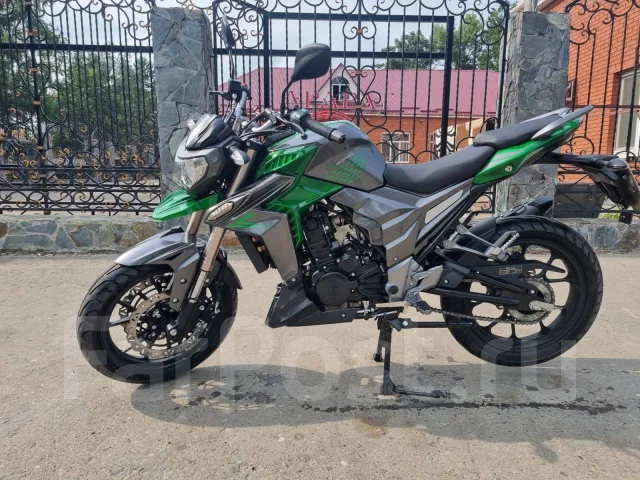 Regulmoto T-Leopard 300. 300����. ��., ��������, ���������, ������ �� �� ����
