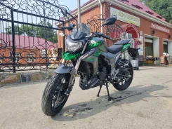 Regulmoto T-Leopard 300. 300����. ��., ��������, ���������, ������ �� �� ����