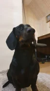 �����. ����