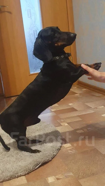 �����. ����