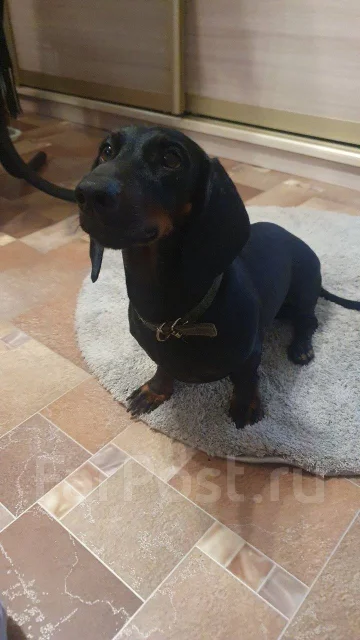 �����. ����