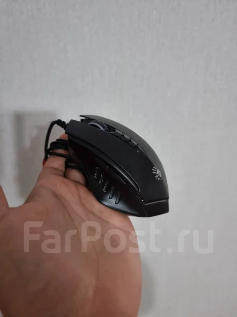 ���� �������. ����