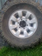 Forward Safari 500. ����� at, 2021 ���, �/�, ����� 10 % ����