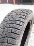 Avatyre Freeze. ������, ����������, �/�, ����� 5 % ����