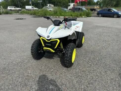 CFMoto CForce. ��������, ��� ���\���, ��� ������� ����