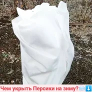 ��� ��������� ������ �������, ��������, ����� �� ���� (�������� �������). ��� ����� �� ���������� ����