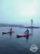 SUP-����. ����
